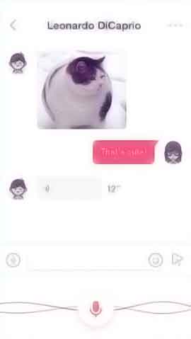 ddos免费测试软件程序维护界面